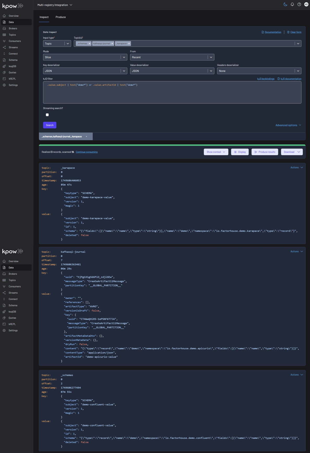 Inspect Schema Records
